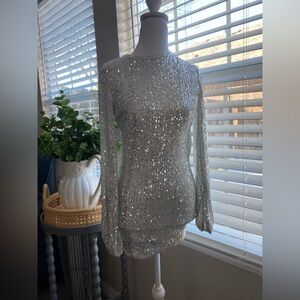 Windsor Shimmering Silver Sequin Dress